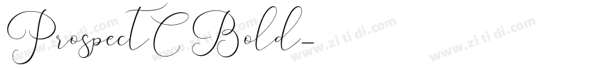 ProspectC Bold字体转换